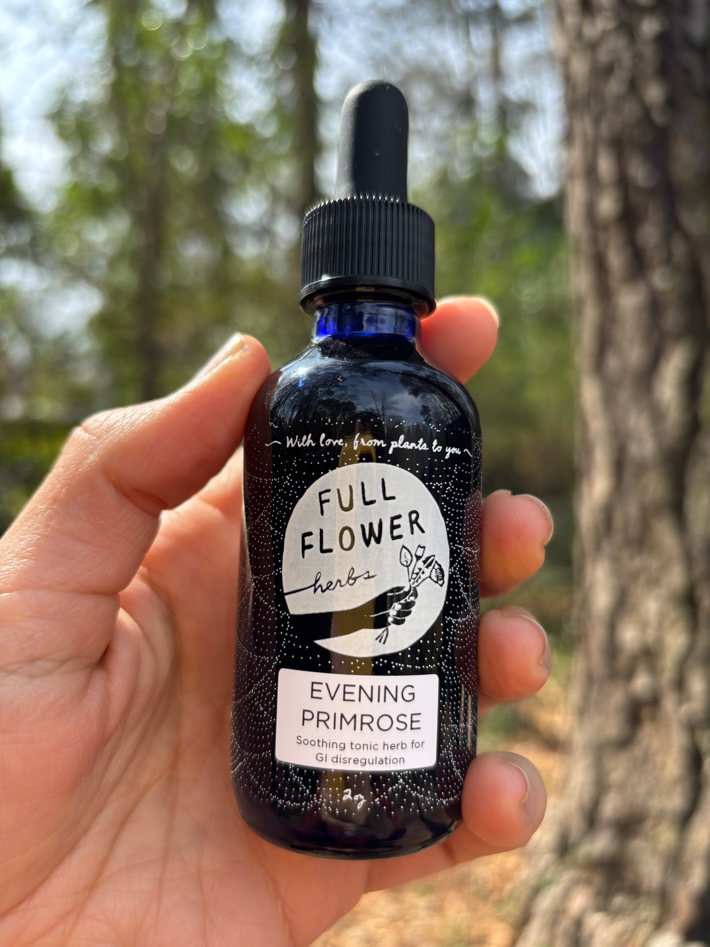 Evening Primrose Tincture