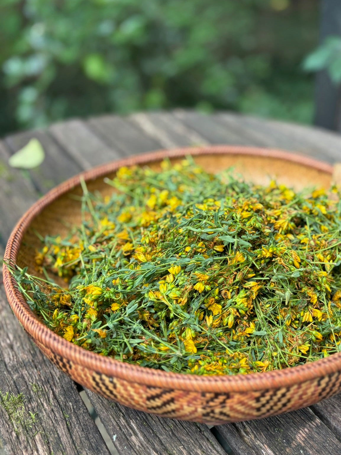Saint John's Wort Tincture - Brightening mood support