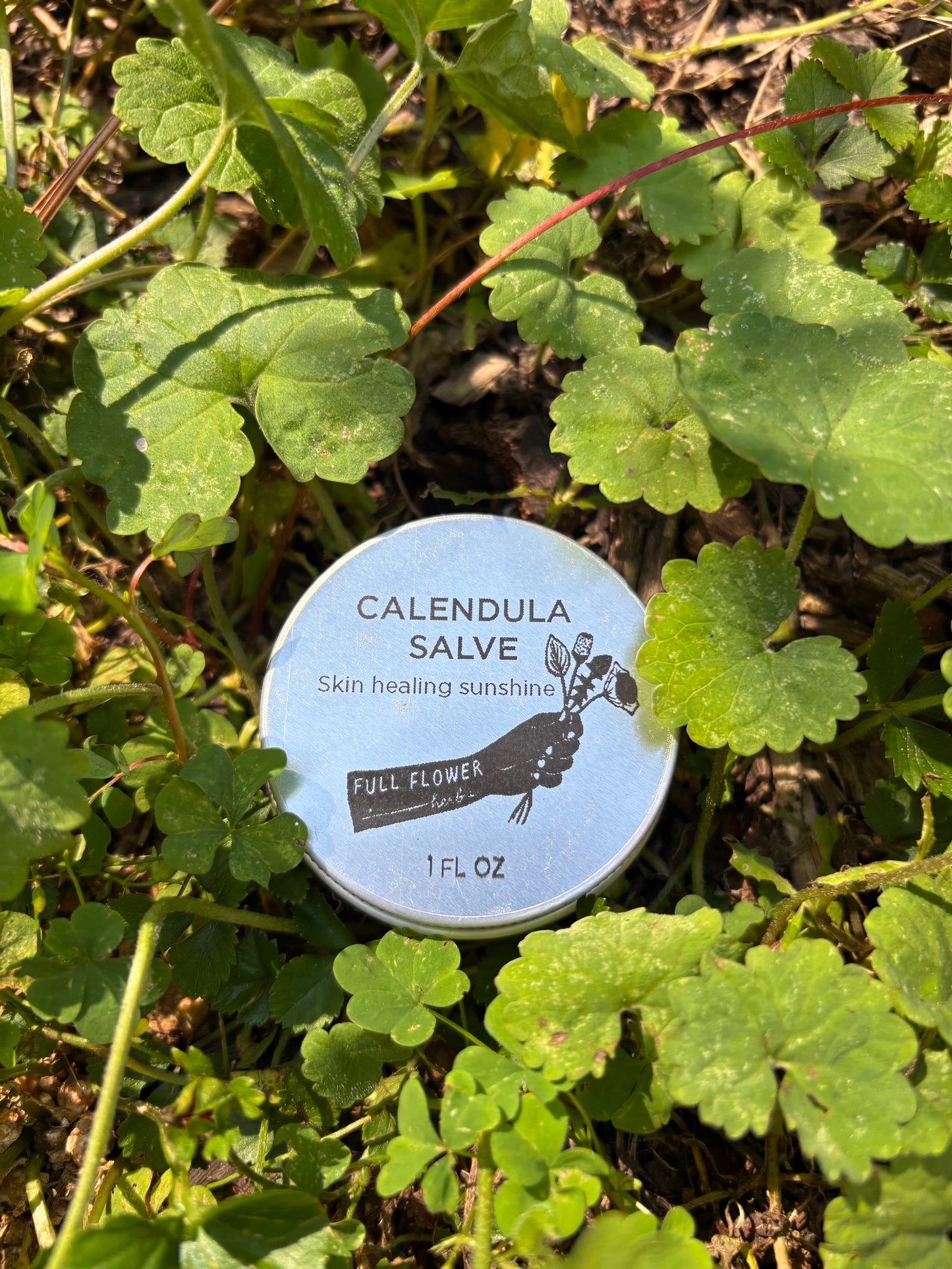 Calendula Salve