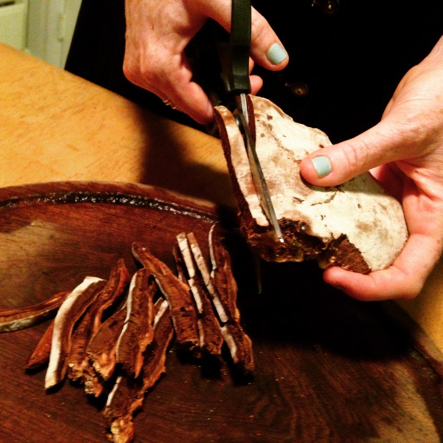 Reishi Double Extract