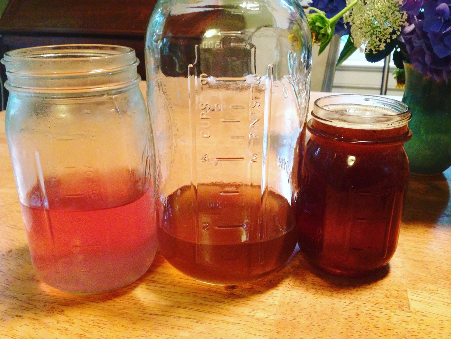 Mimosa Elixir // Blossoms + bark