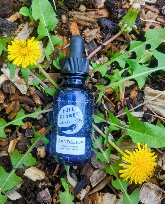 Dandelion Tincture