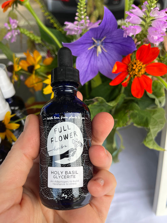 Holy Basil Glycerite