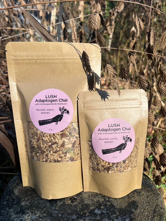 LUSH Adaptogen Chai