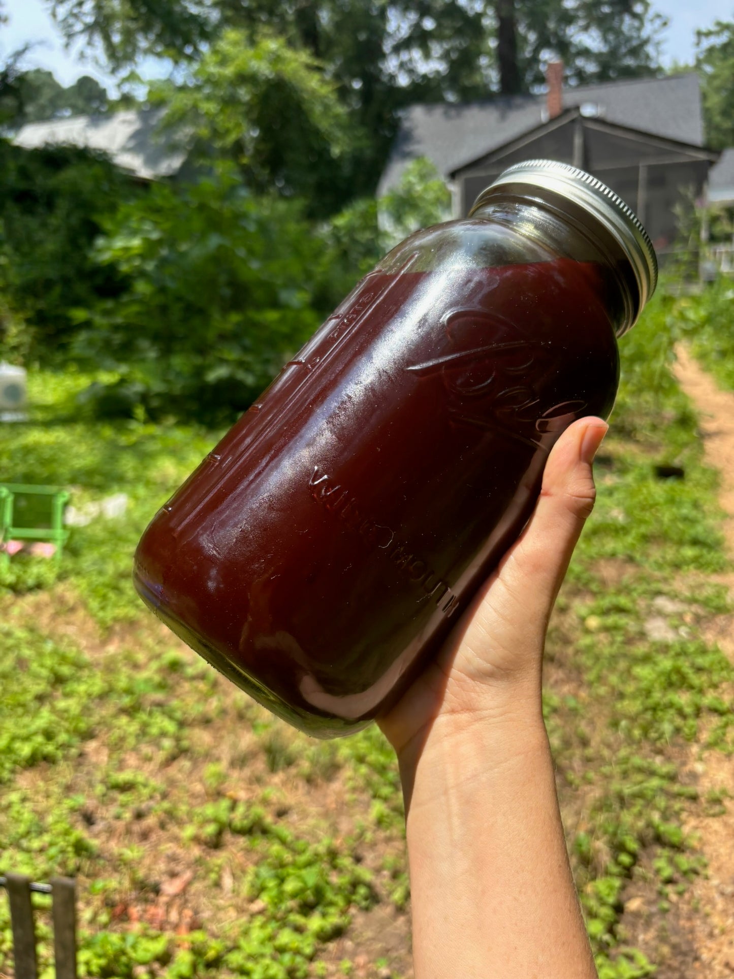 Saint John's Wort Tincture - Brightening mood support