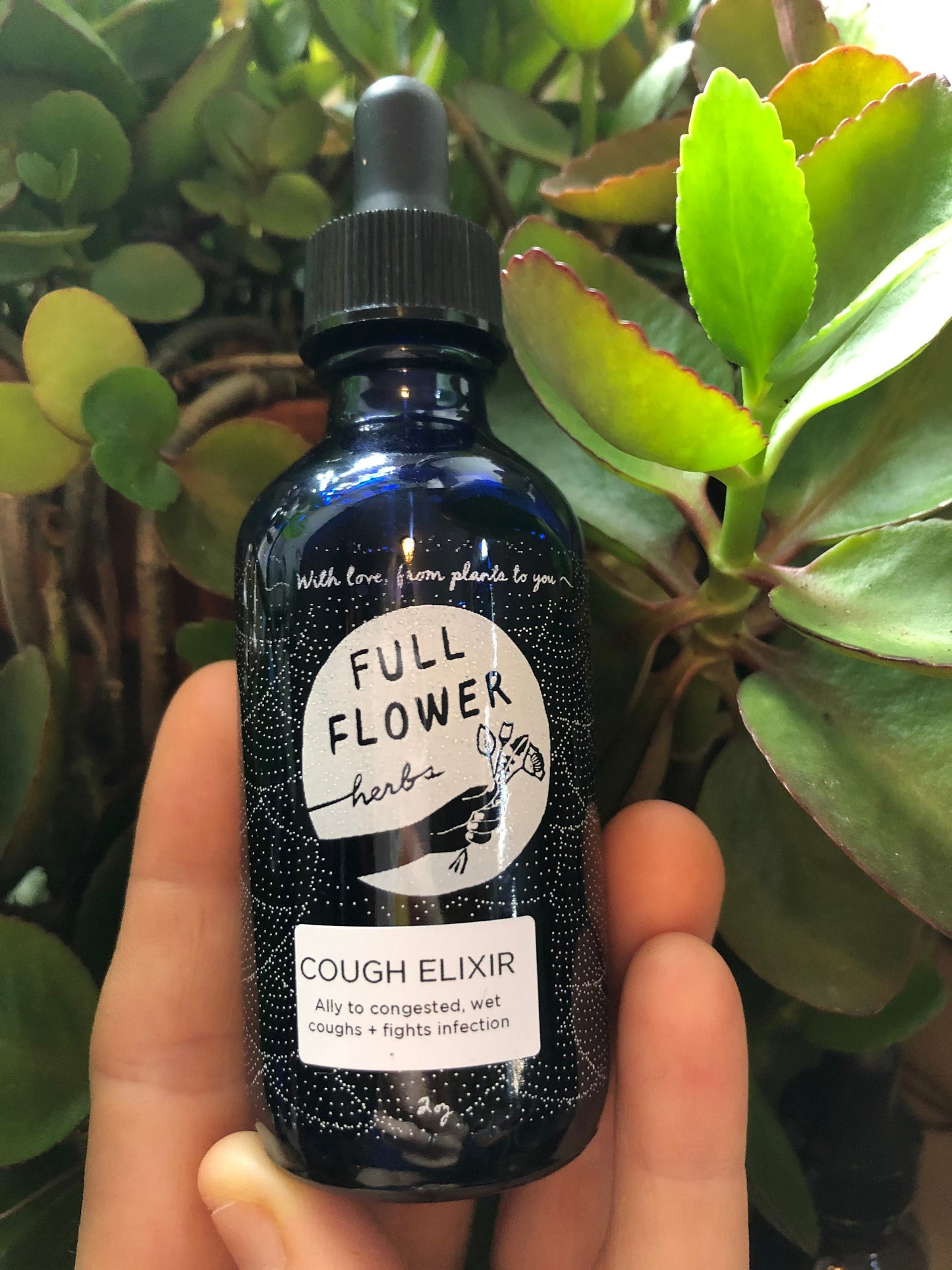 Two ounce bottle of Cough Elixir in front of a plant with scalloped leaf margins