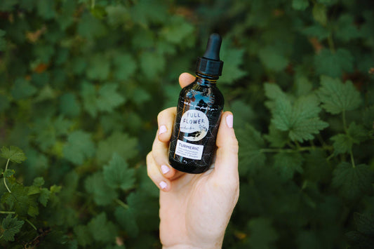 Turmeric Tincture
