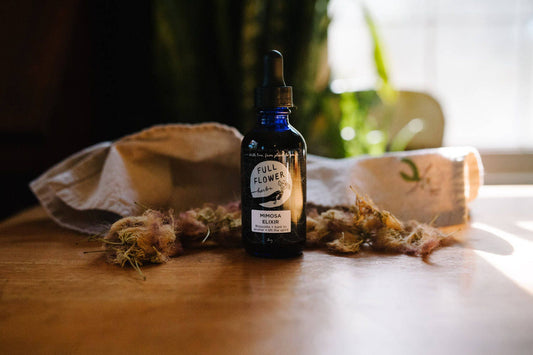 Mimosa Elixir // Blossoms + bark