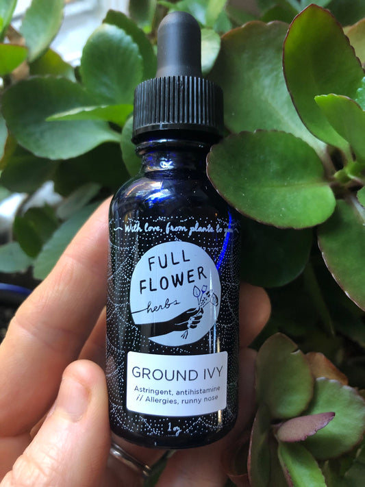 Ground Ivy Tincture