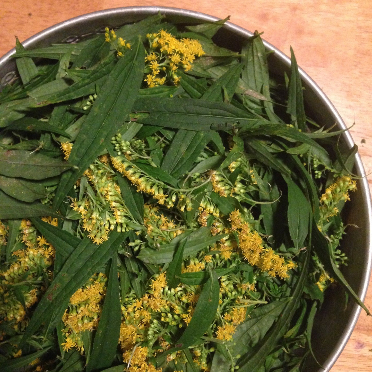 Urinary Healing
